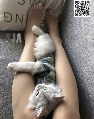 国产成人8x人网站在线视频_电影网在线观看