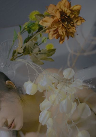 欧美激情在线视频免费_手机免费播放动漫