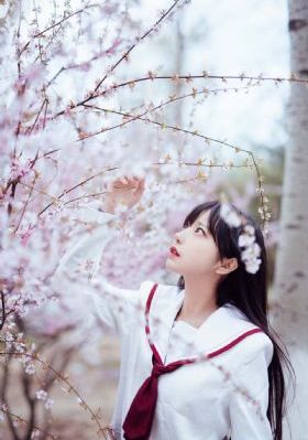 老鸭窝导航菜单_蓝光HD在线观看
